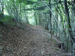 La descente vers Saint-Maurice se termine